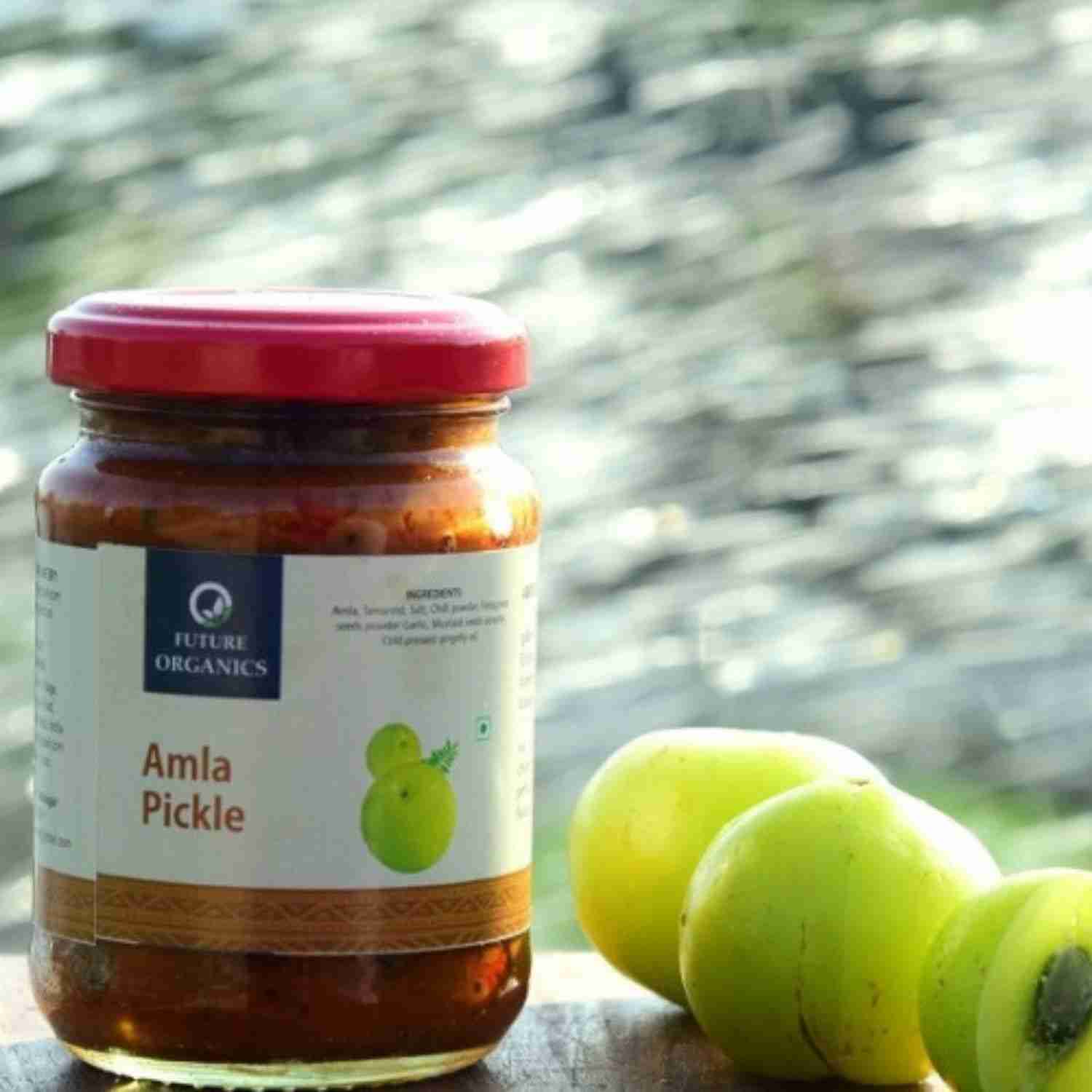 Future Organics Amla Pickle 160 gms Each Pack of 2