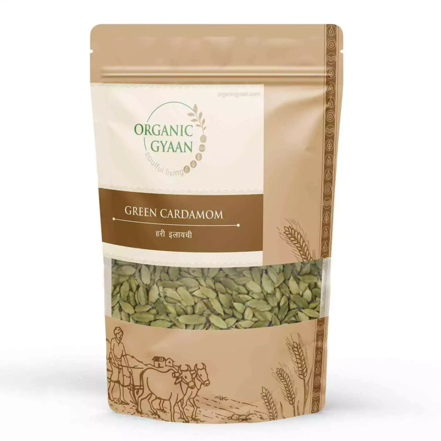 Organic Gyaan Organic Green Cardamom / Elaichi (20 gms)