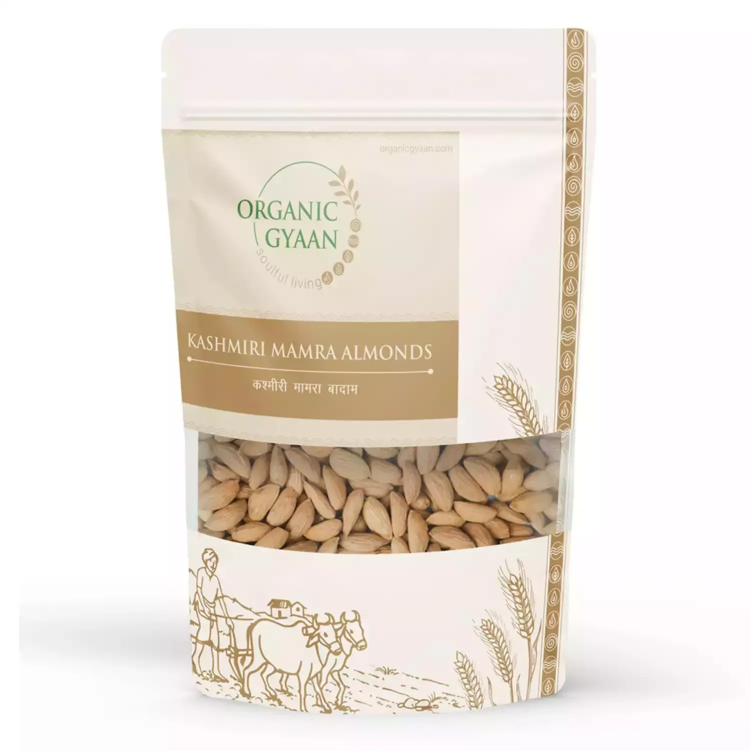 ORGANIC GYAAN Kashmiri Mamra Almonds 450gms