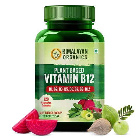 Himalayan Organics Plant Based Vitamin B-12 (120 Capsules)