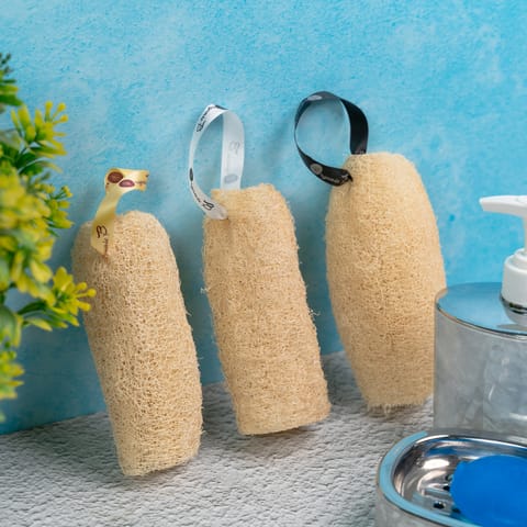 Organic B Natural & Effective  Sundried desi bottle Gaurd Loofah | Assorted pack of 3