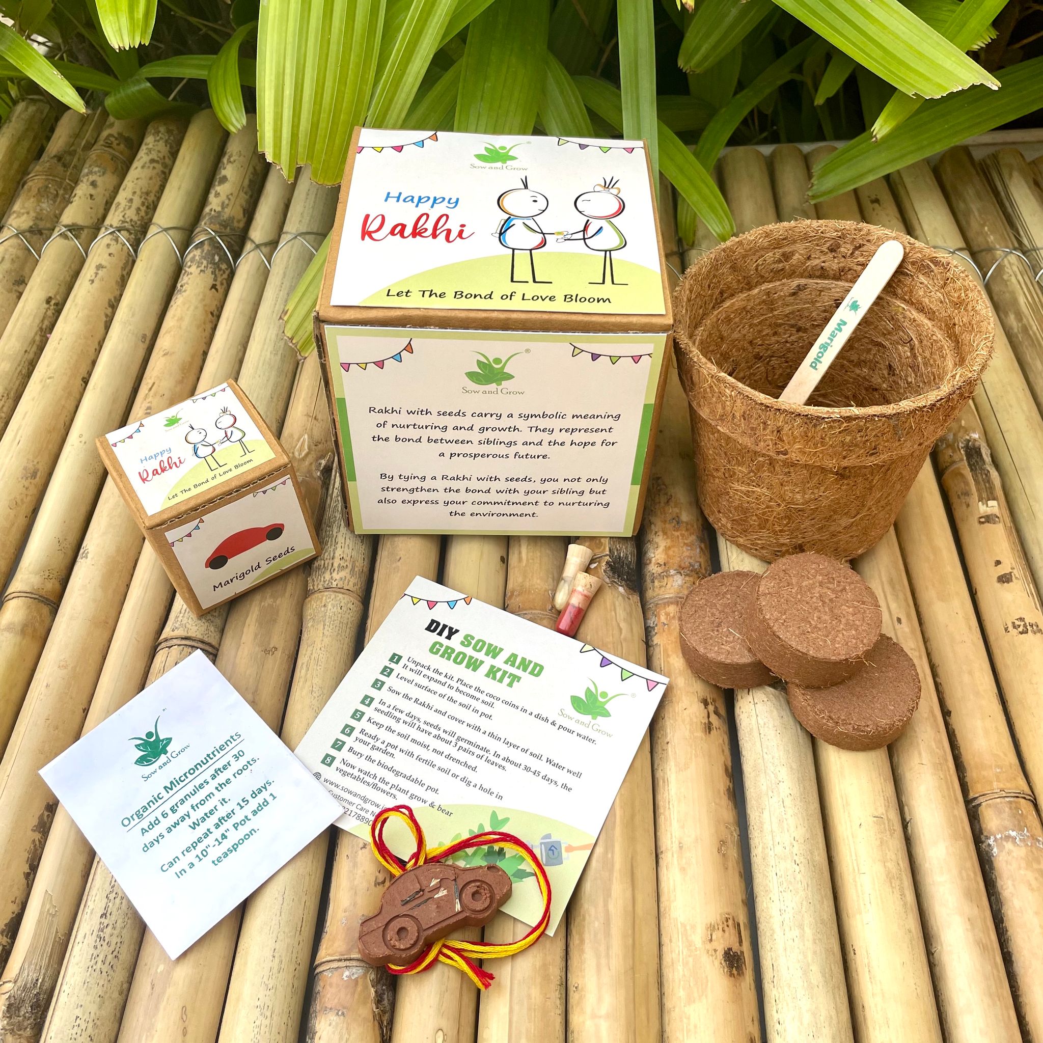 Sow and Grow Car: Clay Rakhi with Seeds | Combo with a DIY Grow Kit