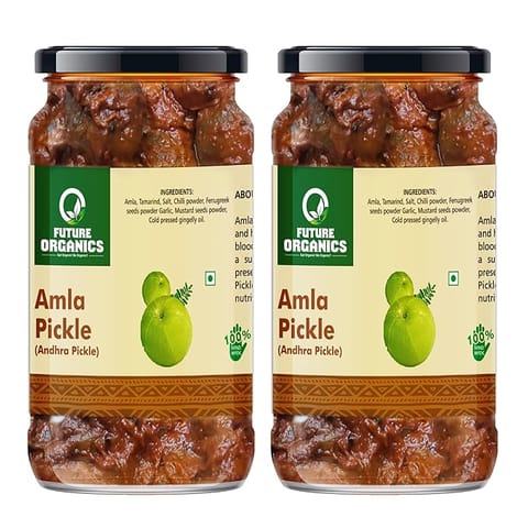 Future Organics Amla Pickle 220 gms Each Pack of 2