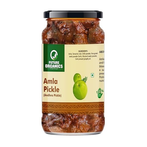 Future Organics Amla Pickle 220 gms Each Pack of 2