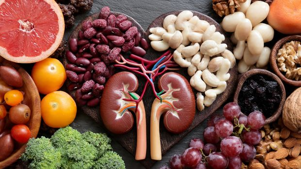 Kidney Health : 10 Powerful Ways to Protect it Naturally