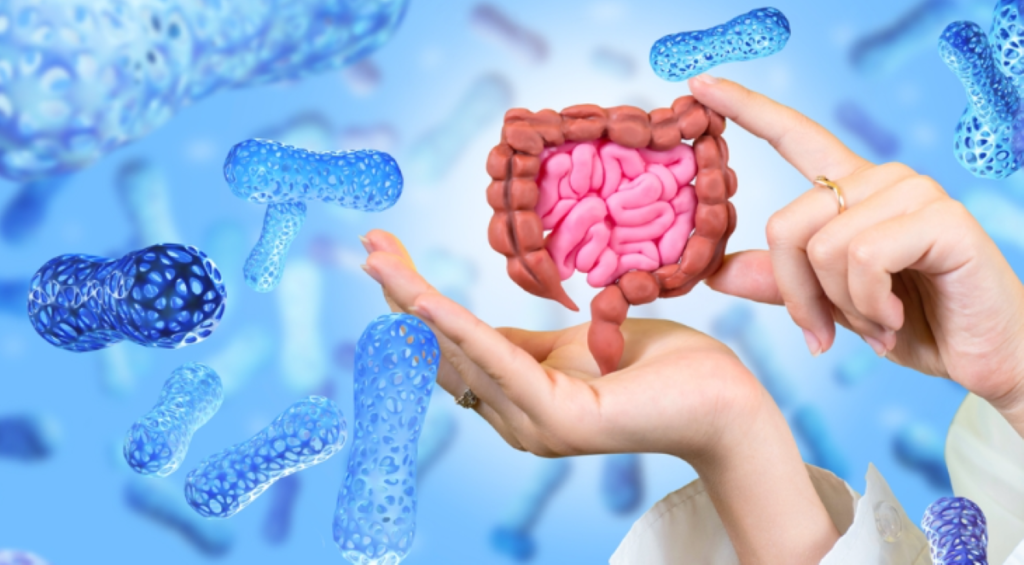 gut health img