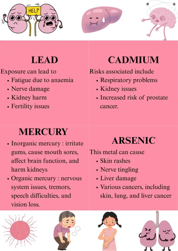 Heavy Metals in Chocolate: 5 Risks Turning into Toxic Treats
